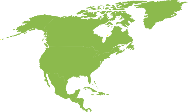 600x357 North And South America Clipart