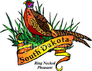 300x230 South Dakota Clipart Clipart Panda