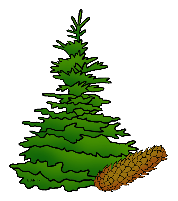 576x648 United States Clip Art By Phillip Martin, State Tree Of South