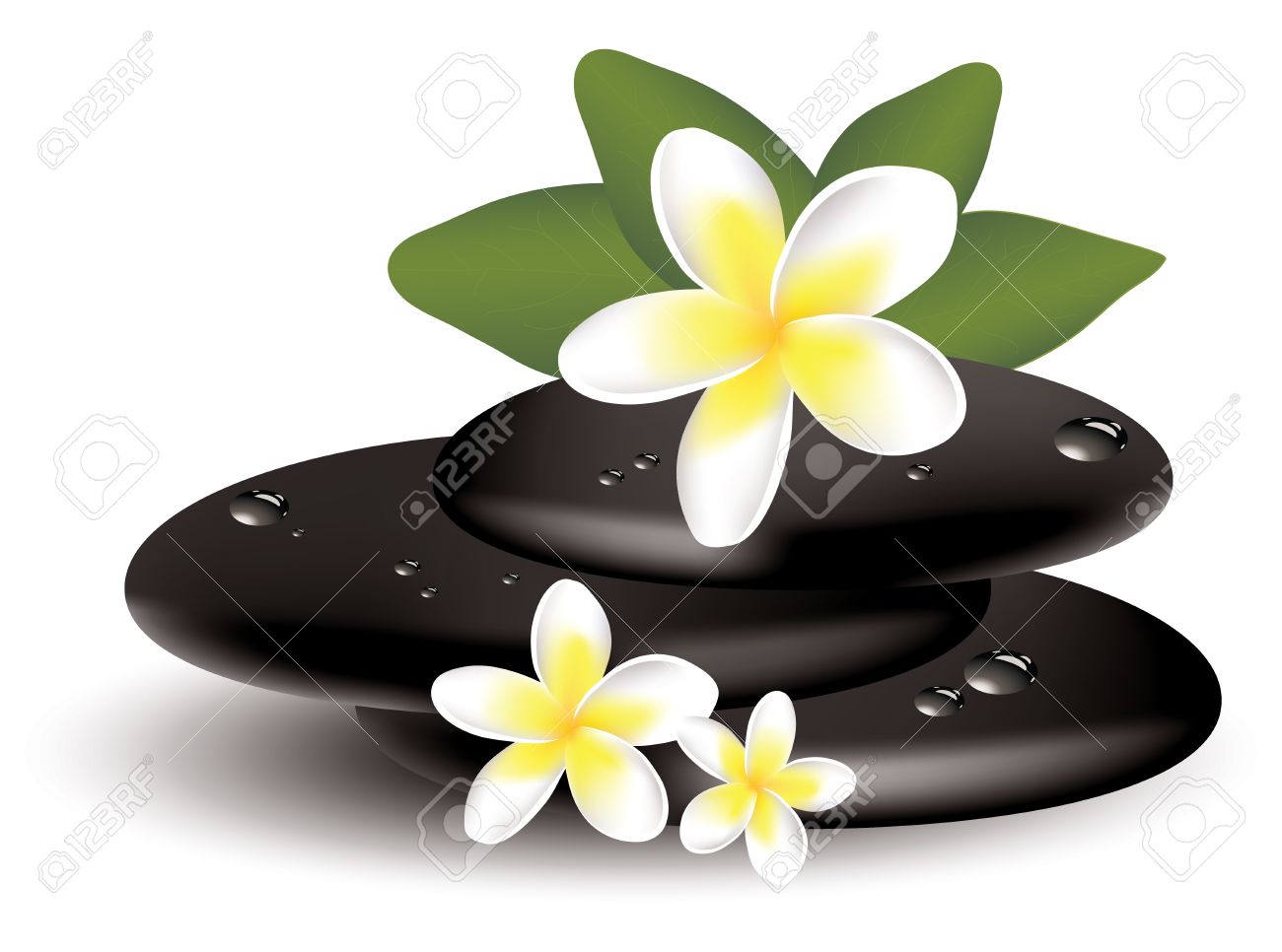 1300x966 Spa Garden Clipart