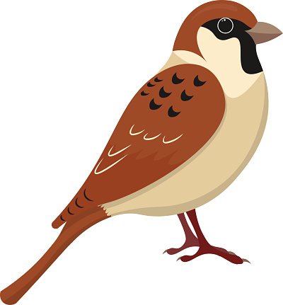 400x431 Cute Sparrow Cartoon Vector Stock Vectors