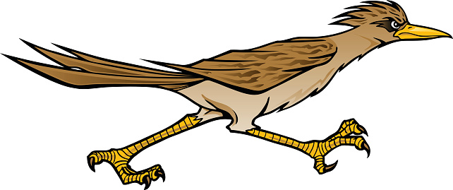642x269 Roadrunner Road Runner Clip Art Clipart Clip Art Library