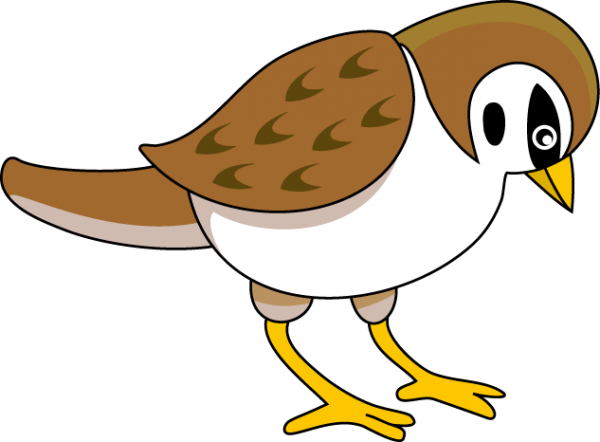 600x442 Sparrow Clipart Nice Clip Art