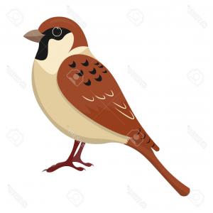 300x300 Stock Illustration Cartoon Sparrow Vector Illustration Clipart