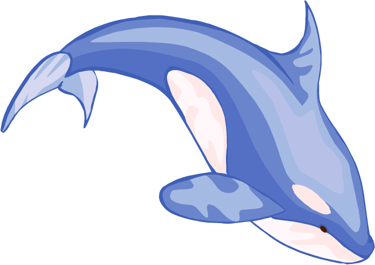 750x531 Orca Cliparts