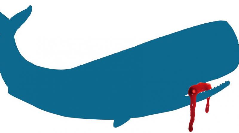 800x448 Beware! Blue Whale Game Available In Different Names
