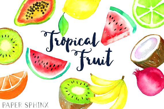 570x379 Fruit Clipart Watercolor Tropical Fruit Fruit Clip Art Pineapple