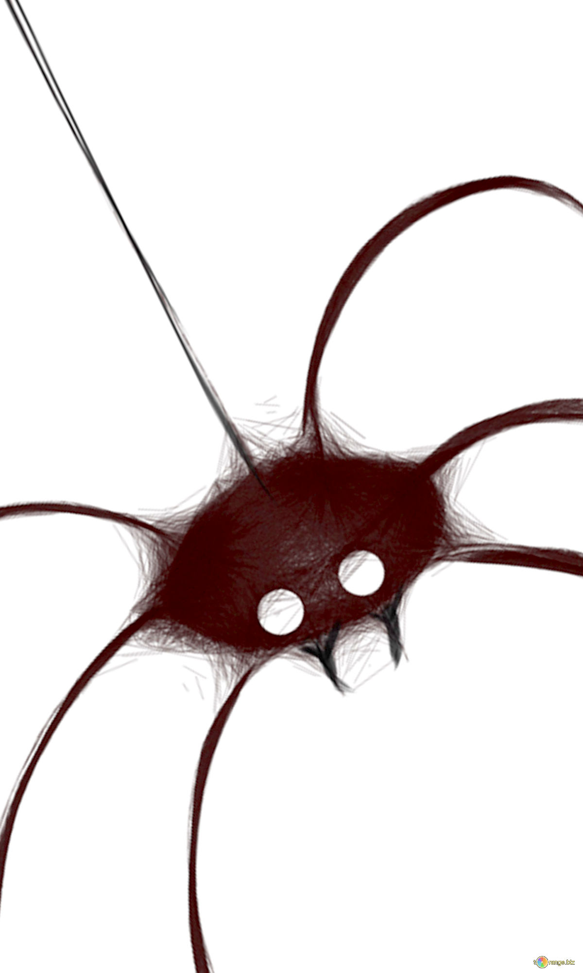 1200x2001 Halloween Spider Clipart