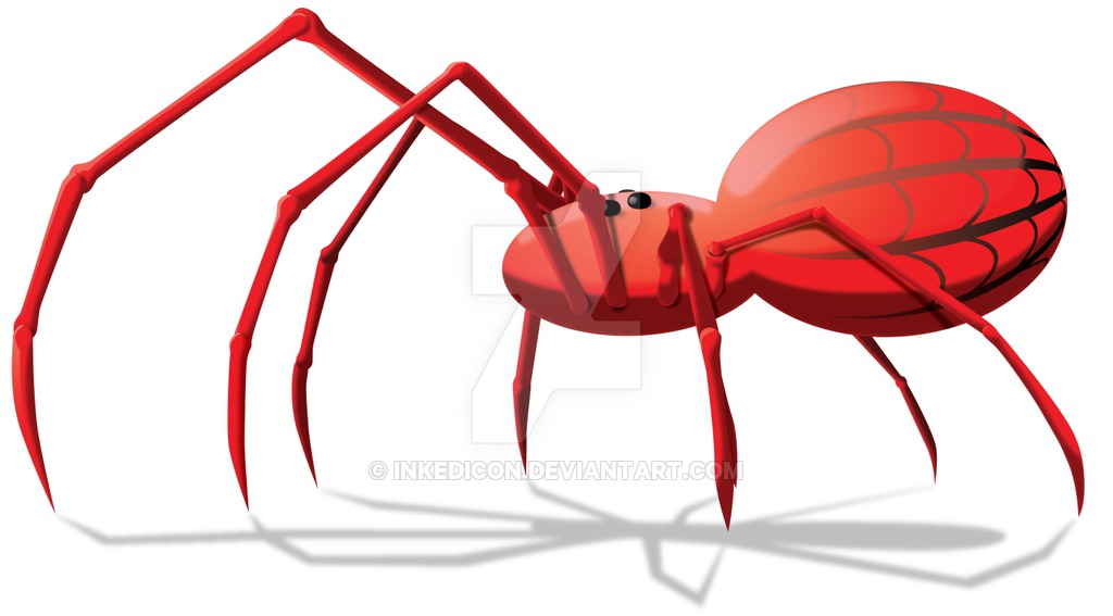 1024x567 Spider Clipart Colorful