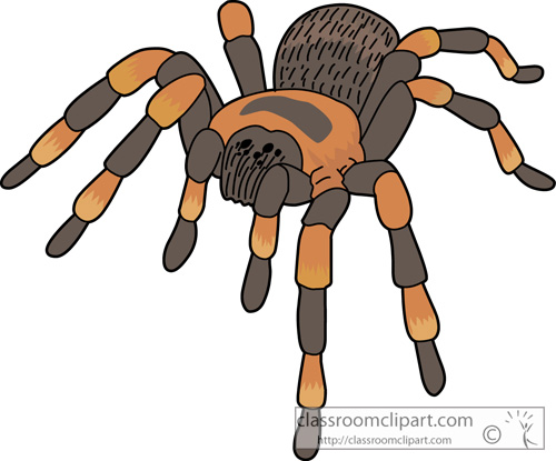 500x415 Top 92 Spider Monkey Clip Art