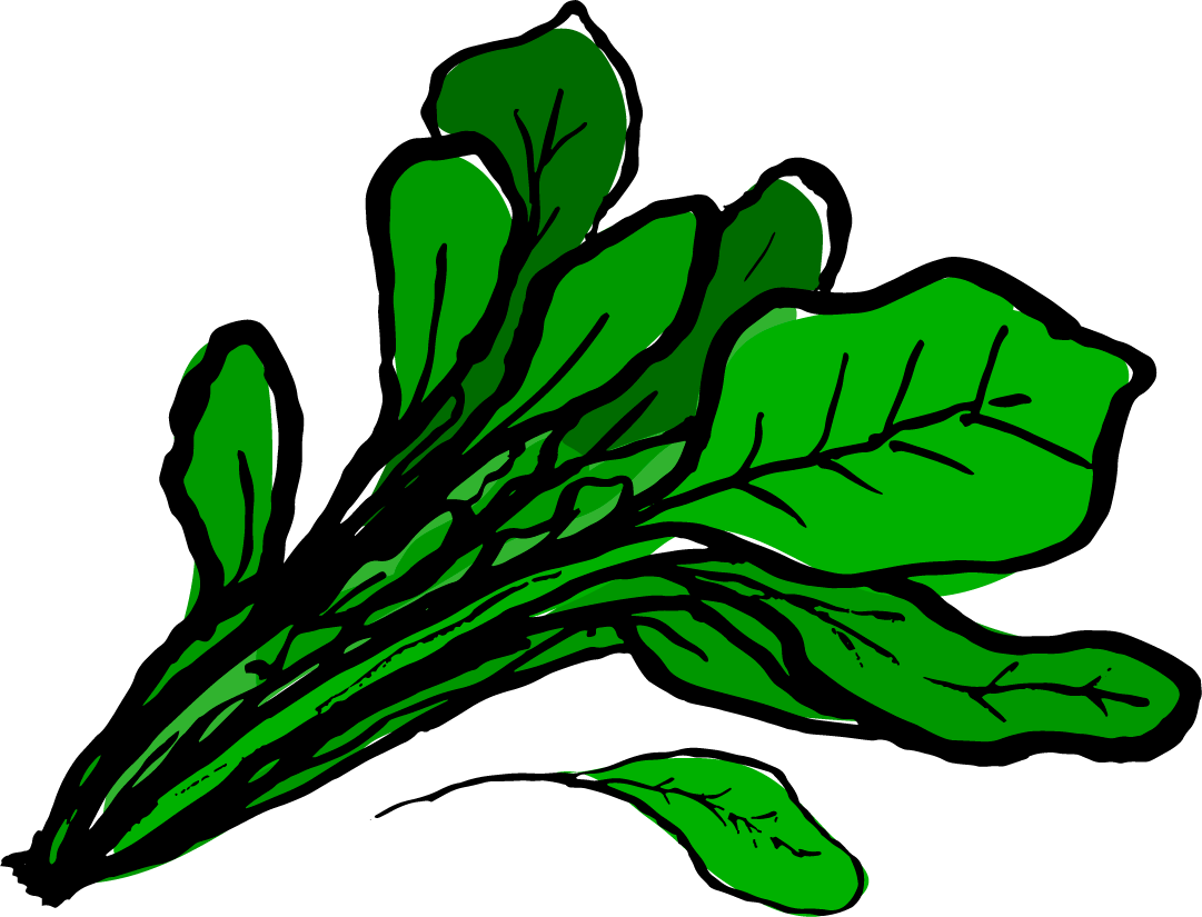 Spinach Clipart