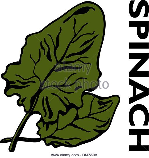 512x540 Kale Clipart Spinach Leaf