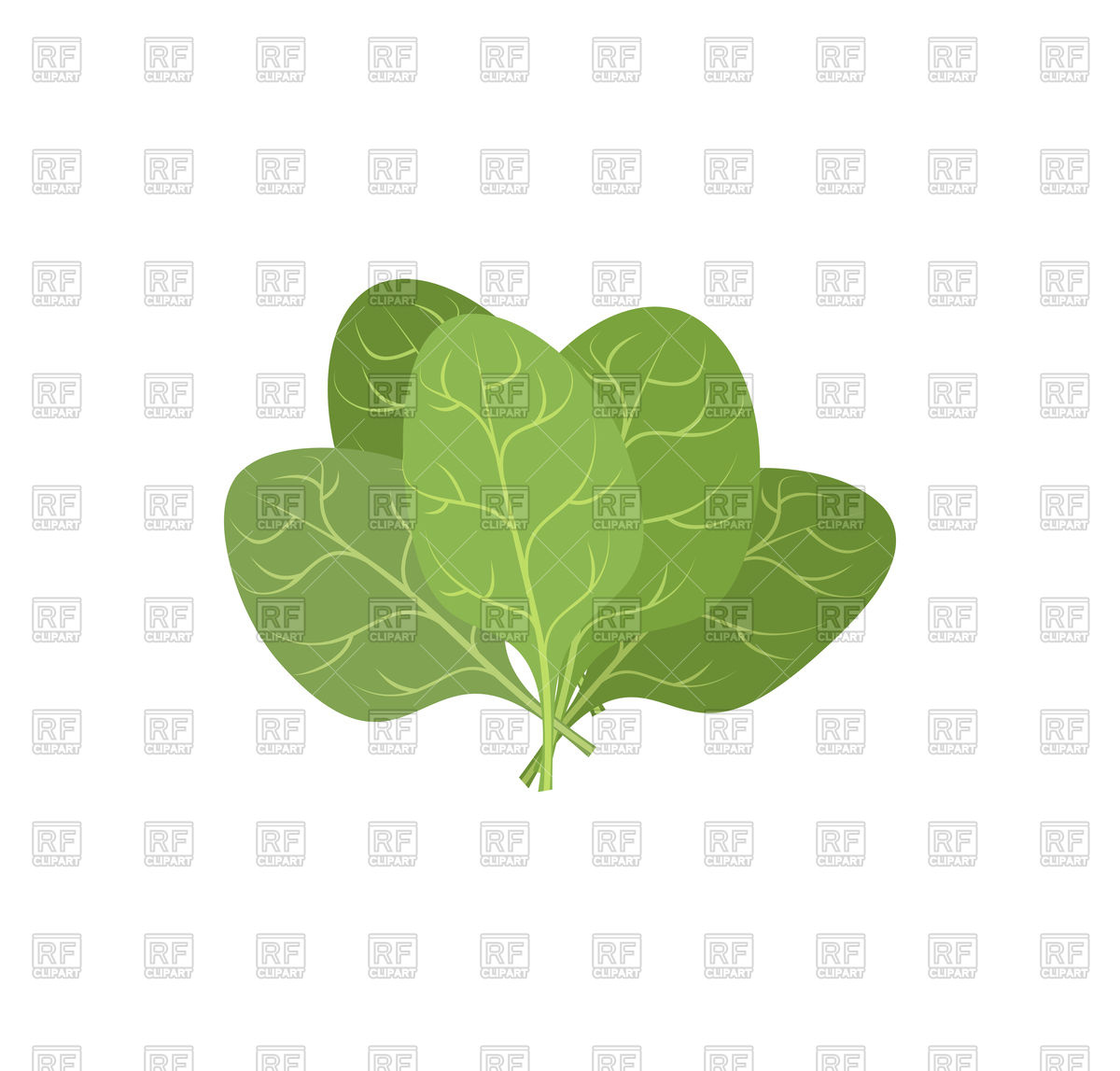 1200x1147 Leaves Of Spinach Royalty Free Vector Clip Art Image