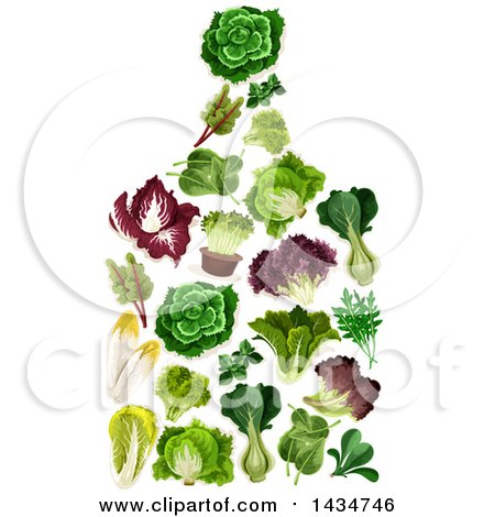 450x470 Royalty Free (Rf) Spinach Clipart, Illustrations, Vector Graphics