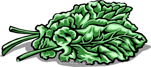 480x214 Spinach Royalty Free Vector Clip Art Illustration Food0147