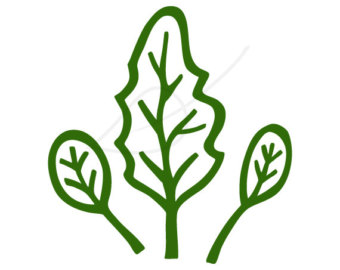 340x270 Spinach Leaves Digital Stamp Clipart Panda