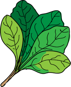 244x300 What Can Dogs Eat Your Go To Guide On What Your Pup Can Amp Cannot