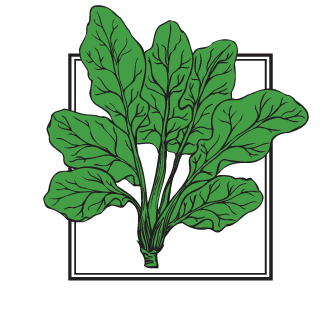 334x322 Simple Spinach Cartoon Spinach