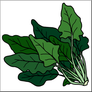 304x304 Clip Art Spinach Color I Abcteach