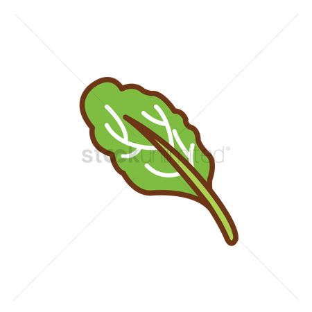 450x450 Free Spinach Leaf Stock Vectors Stockunlimited
