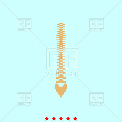 400x400 Human Spine Color Icon Royalty Free Vector Clip Art Image