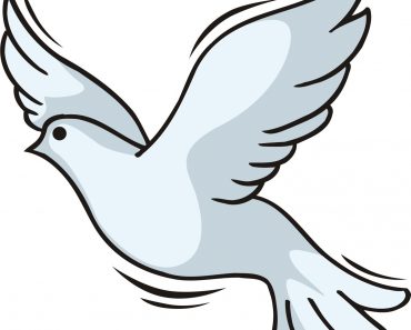 370x297 Awesome Chemistry Clipart Gallery