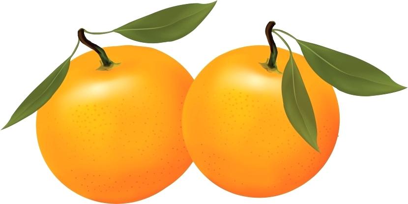 830x415 Free Clip Art Fruit Orange Fruit Cartoon Free Clip Art Images Free