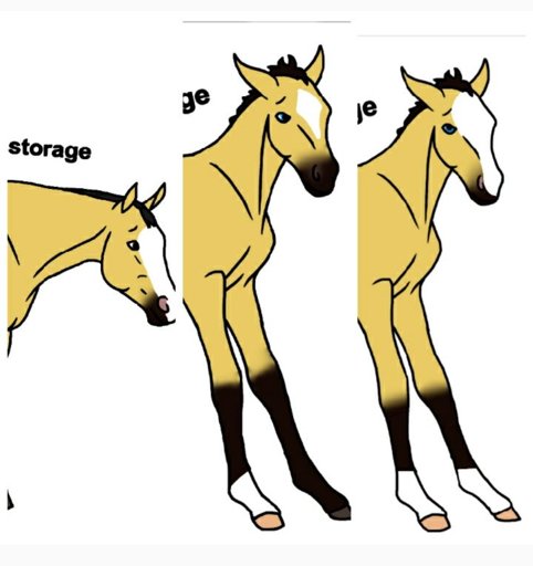 482x512 Spiritstallionofthecimarron Amino