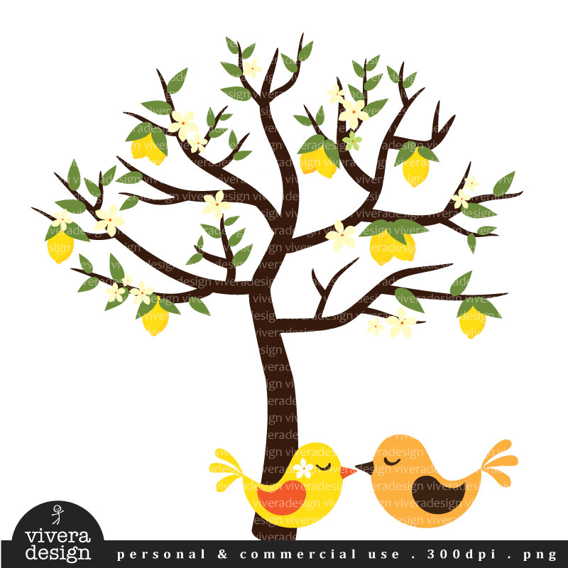 800x800 Lemon Tree Clipart 101 Clip Art