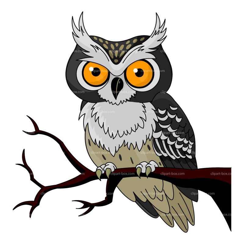 800x800 Spooky Clipart Owl