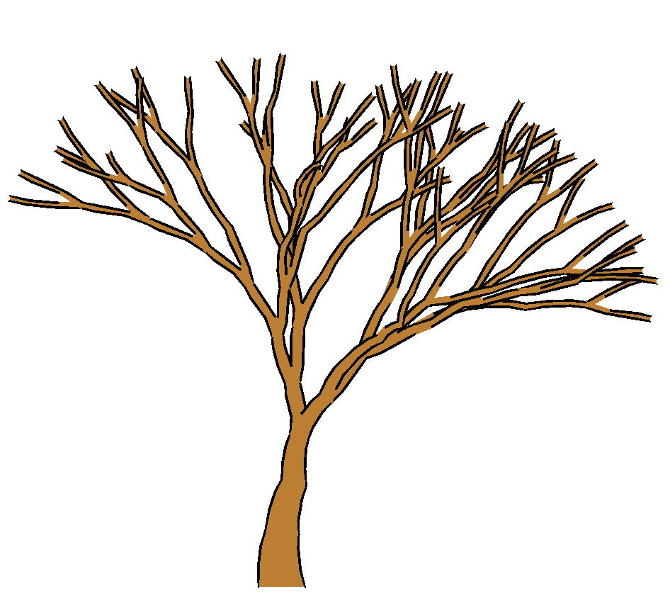 946x848 Tree Outline With Leaves Clipart