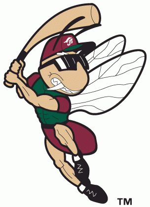 304x420 828 Best Team Logo And Clip Art Images On Sports Logos