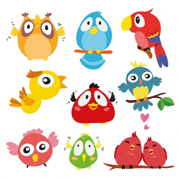 626x626 Bird Vectors, Photos And Psd Files Free Download