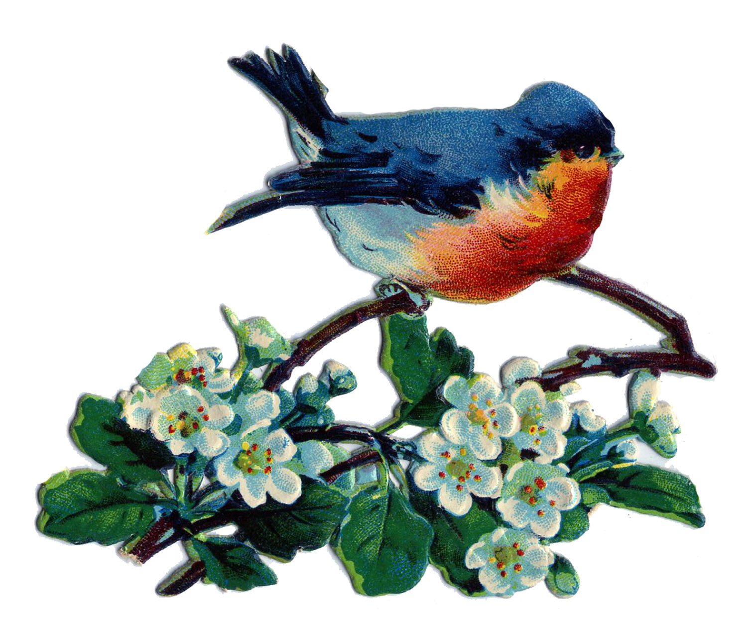 1500x1249 Vintage Image