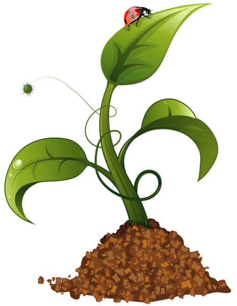 465x600 Spring Flower Crop Png Clip Art Image Vector Art