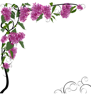 380x400 Free Floral Borders Frames Clipart