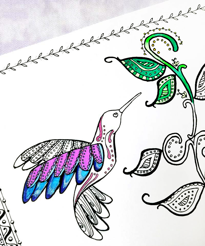 800x963 Hummingbird Coloring Page