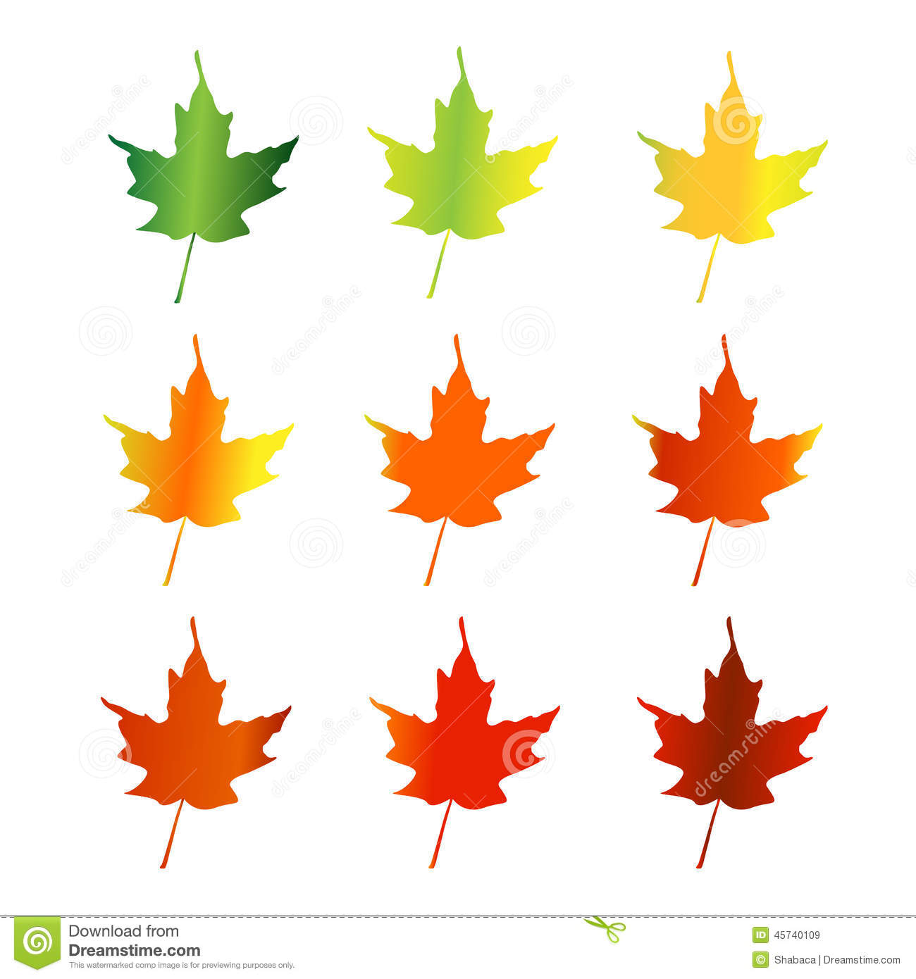 1300x1390 Printable Pictures Of Maple Leaves Sure Fire Leaf Pictures