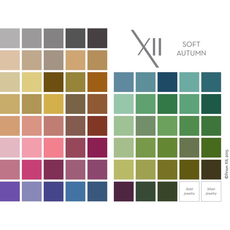 736x736 Autumn Color Palette 82 Best Soft Autumn Palettes Images