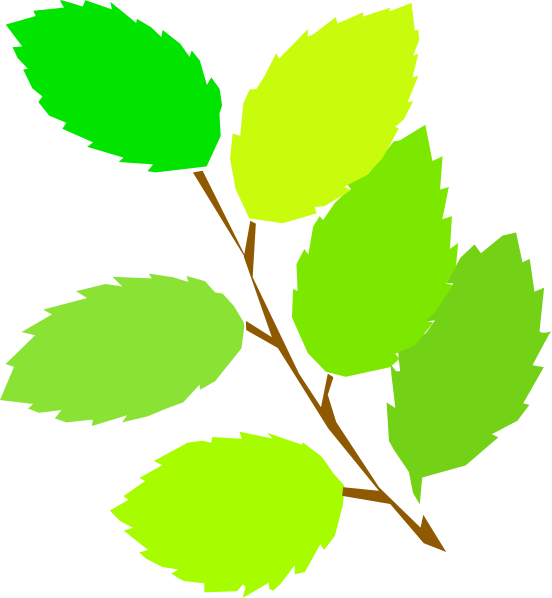 552x598 New Leaves Spring Clip Art Free Vector 4vector