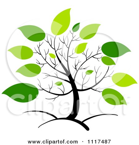 450x470 Royalty Free (Rf) Spring Foliage Clipart, Illustrations, Vector