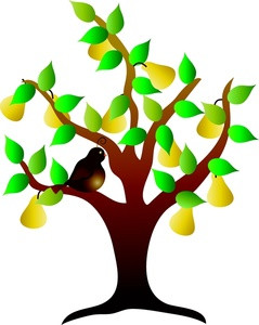 239x300 Clip Art Tree Green Spring Tree Png Clipart Picture Trees