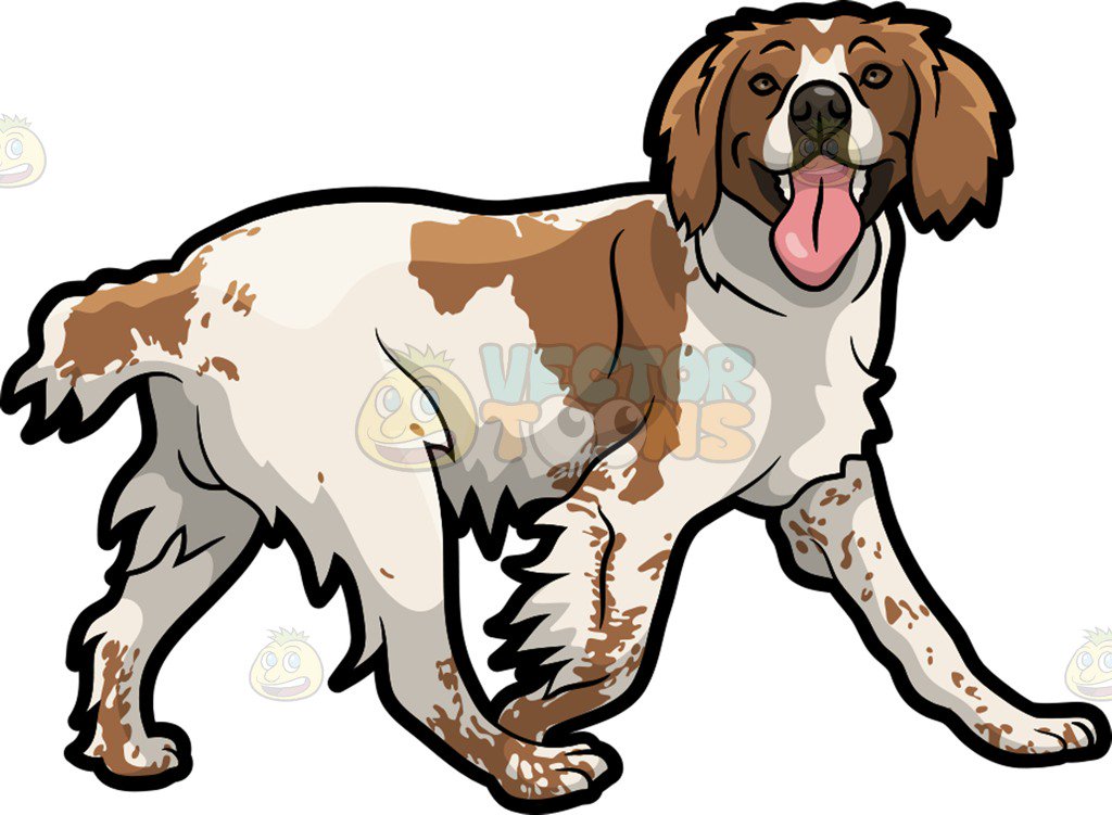 1024x751 Collection Of Brittany Spaniel Clipart High Quality, Free
