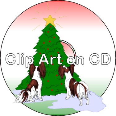 376x376 Papillon Shop