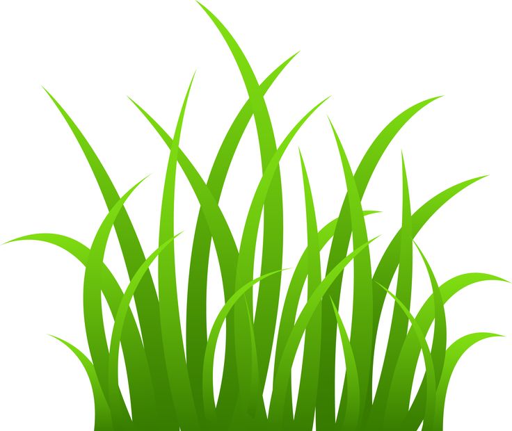 736x620 Green Grass Clipart Amp Look At Green Grass Clip Art Images