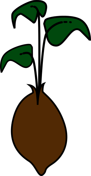 306x592 Seed Sprout Green Clip Art