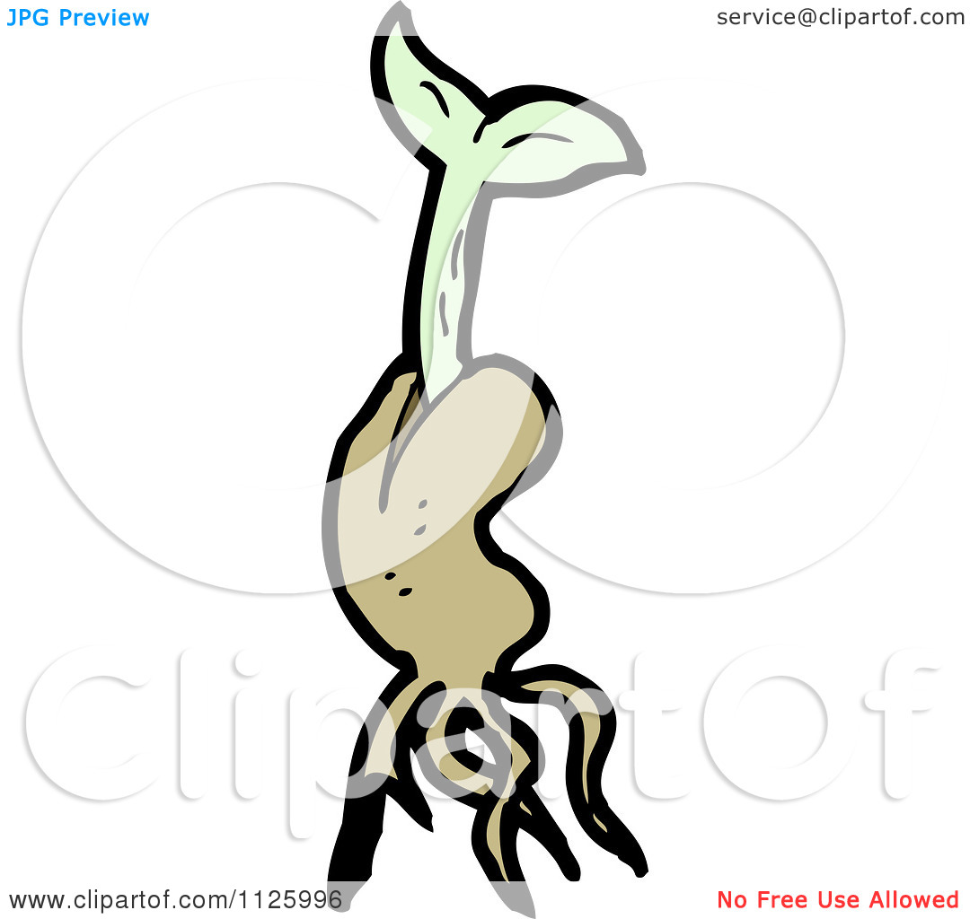 1080x1024 Seed Clipart Hand Planting