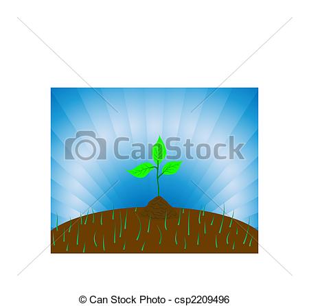 450x446 Sprouts. Abstract Illustrations Of Sprout On The Beams Clip Art