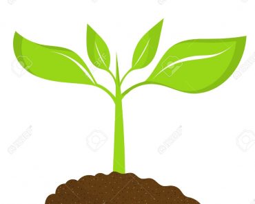 370x297 Unique Rainbow Clipart Design