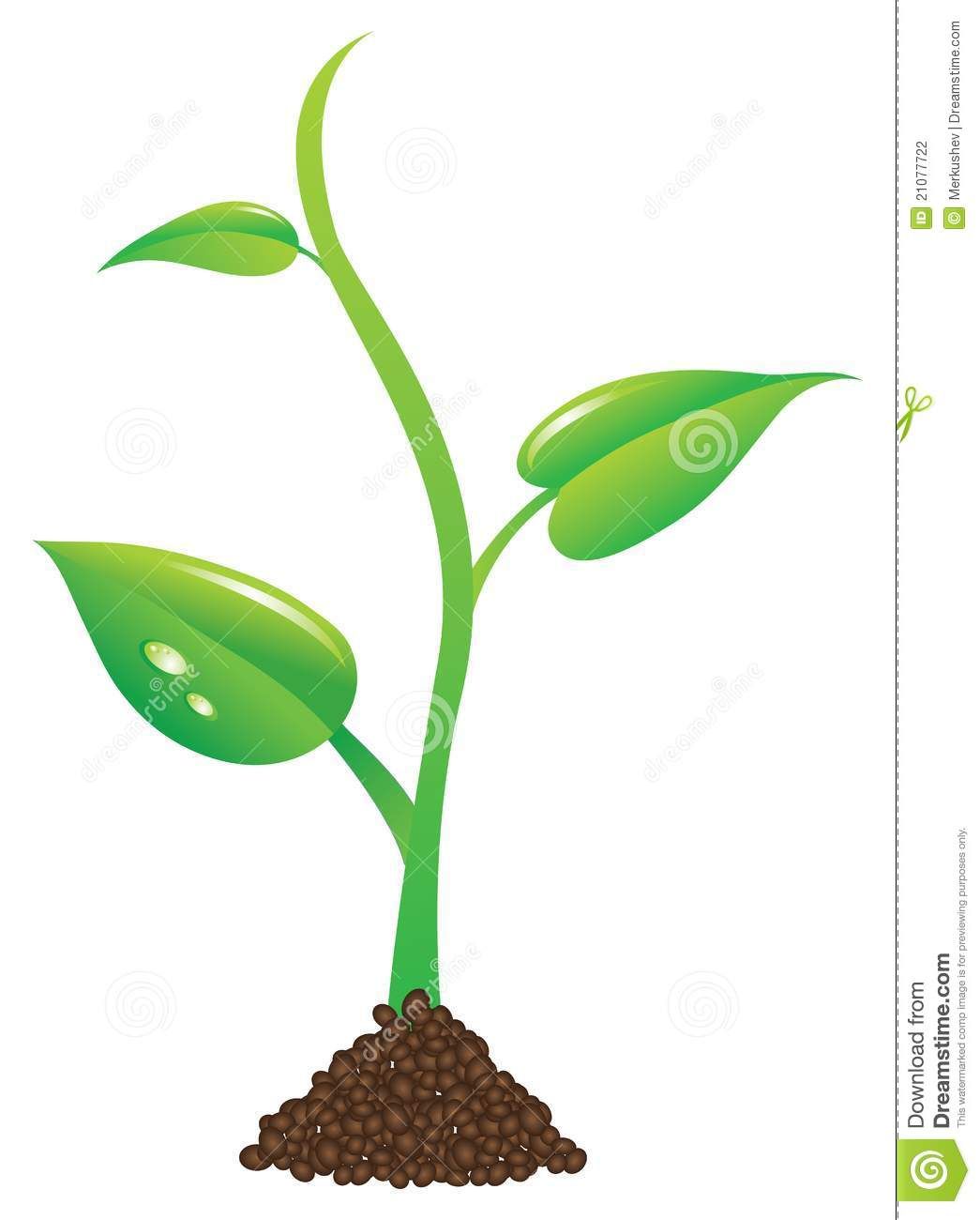 1045x1300 Plant Sprout Clipart